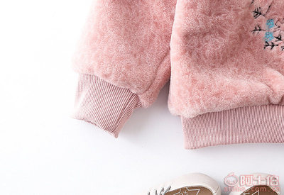 【sss2017冬款新款韓版女童加絨加厚刺繡寬松套頭衛(wèi)衣兒童上衣廠家批發(fā)G627】溫州市甌海梧田萌清童裝網(wǎng)店 - 產品庫