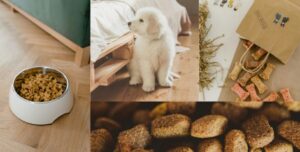 Read more about the article Five Best Great Pyrenees puppies food – Reviewed and Tested