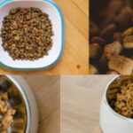 Five Best Dog Food For Puppy in 2024, Reviewed and Tested