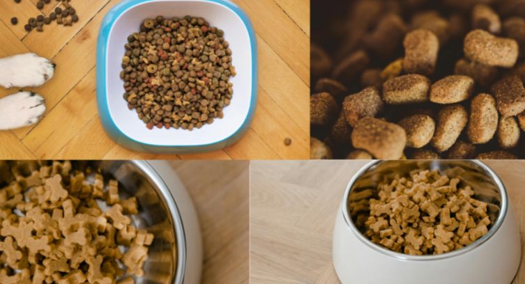 Best Dog Food For Puppy